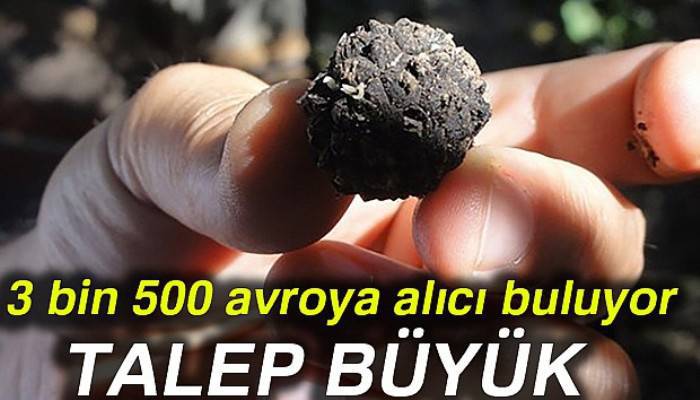 100 ila 3 bin 500 avro arasında fiyata alıcı buluyor