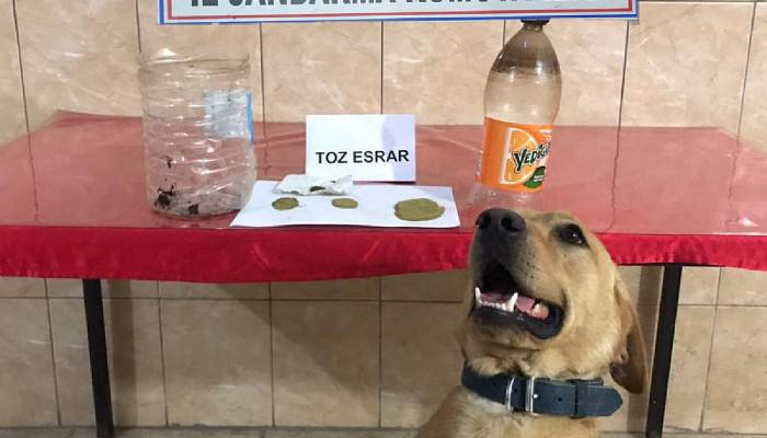 ‘ROKET’LE YAPILAN ARAMADA UYUŞTURUCU BULUNDU; 1 TUTUKLAMA