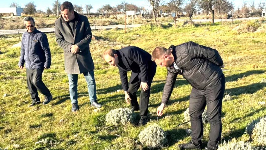 Çanakkale Tarım ve Orman Müdürlüğü'nün Lavanta Ekim Projeleri Bölge Ekonomisine Can Katıyor