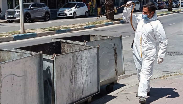 Karasinek ve Sivrisinek Mücadelesi Sürüyor