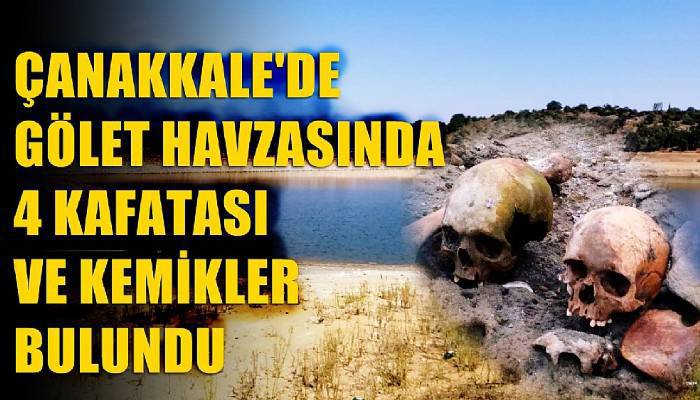 Çanakkale’de gölet havzasında 4 kafatası ve kemikler bulundu (VİDEO)