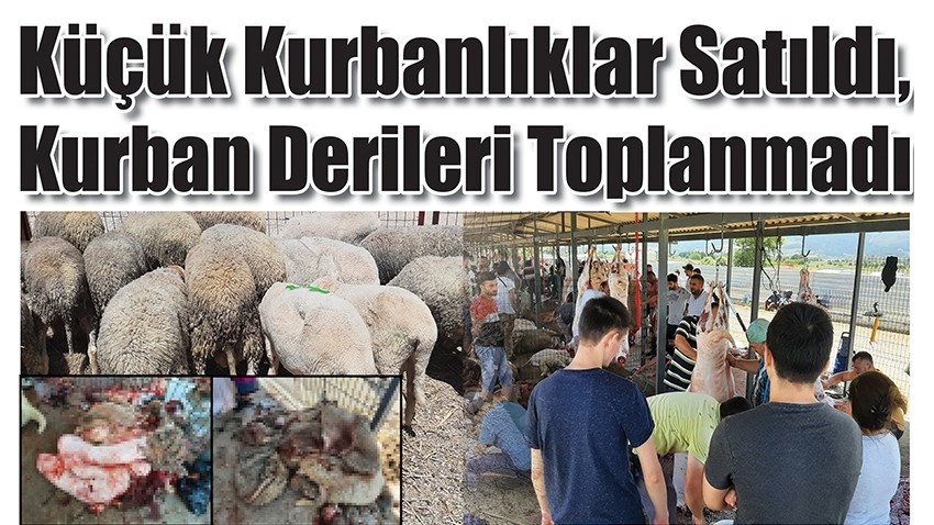 Küçük Kurbanlıklar Satıldı, Kurban Derileri Toplanmadı