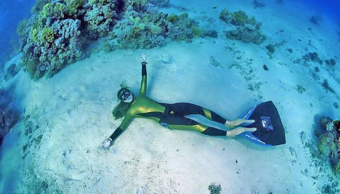 Dalış okullarını kuruyor 