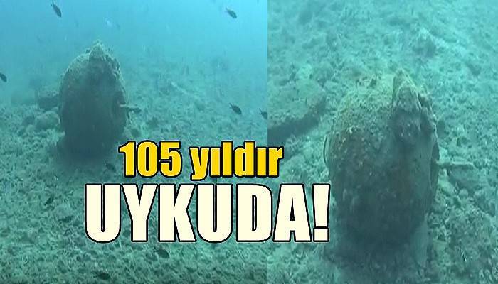 105 yıldır uykuda! (VİDEO)