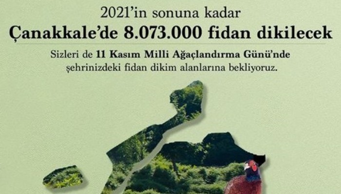 Çanakkale’de 8 Milyon 73 Bin Fidan Dikilecek