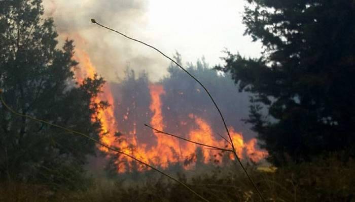 Edirne’de yangın tekrar başladı