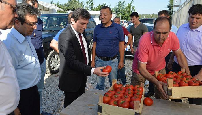 Çanakkale domatesini değerlendirdiler 