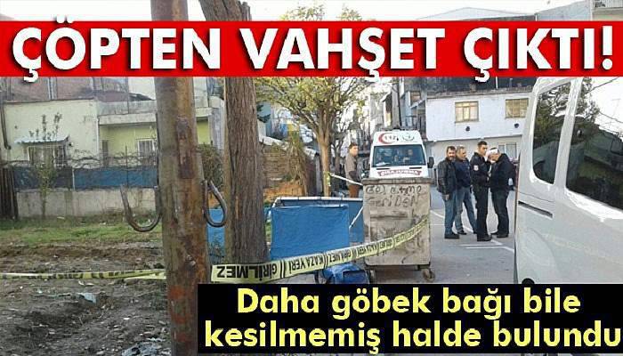 Bursa'da çöpten bebek cesedi çıktı