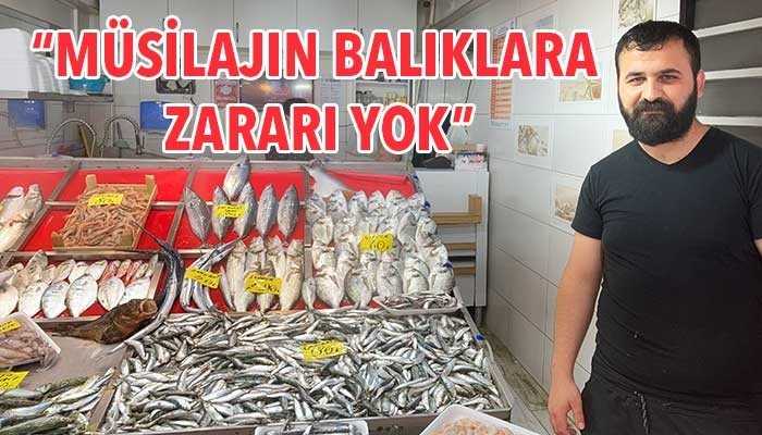 Deniz salyasında satışları azalan balıkhali esnaf vatandaşa seslendi