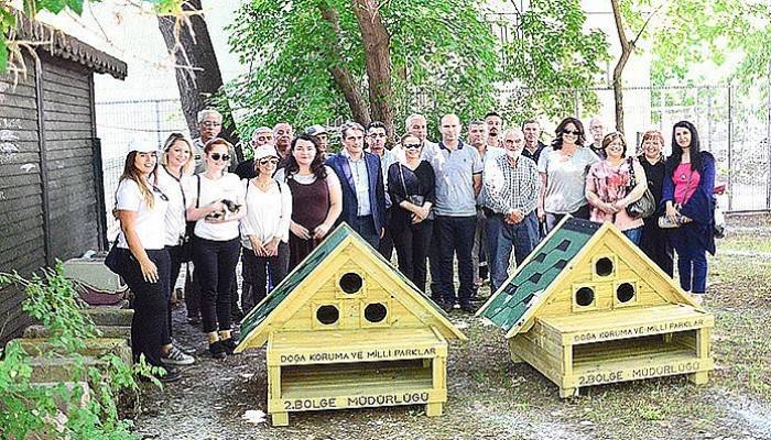 DKMP’den kedi evleri (VİDEO)