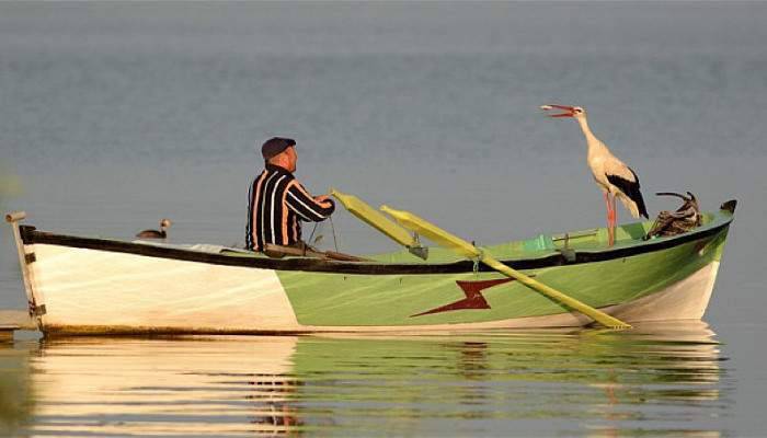 Leylekle balıkçının dostluğu La Fontaine masallarını andırıyor