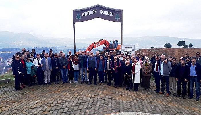 170 zeytin ağacı fidanı dikildi