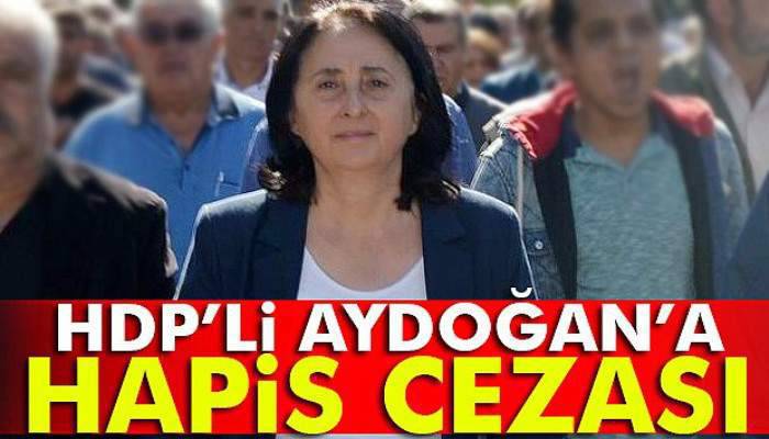 HDP’li vekil Nursel Aydoğan'a hapis cezası