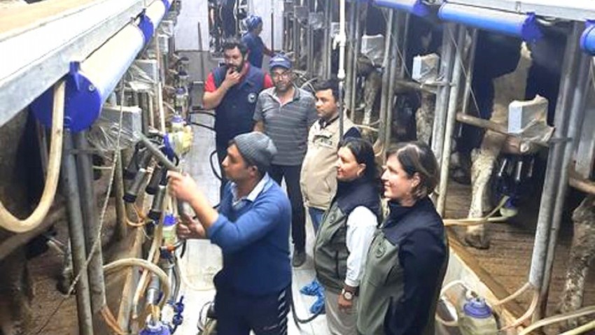 Çanakkale İl Tarım ve Orman Müdürü Türkarslan, Süt Hayvancılığı İşletmesinde İncelemelerde Bulundu