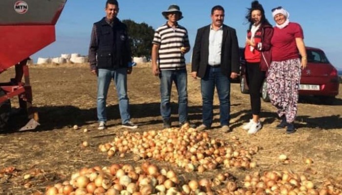 Biga’da Tohumluk Soğan Ekimine Başlandı