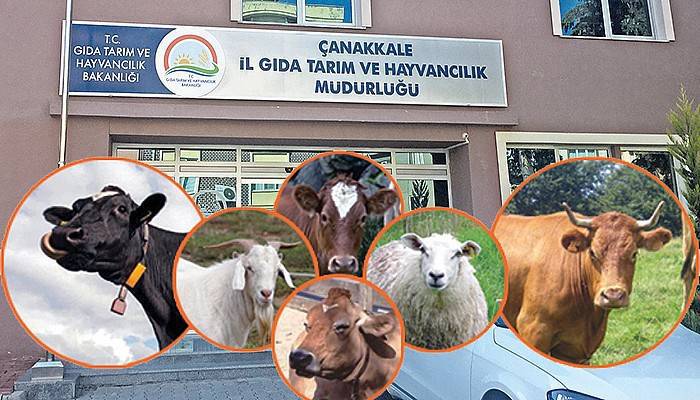 Kurbana yaklaşırken denetimler sıklaştı