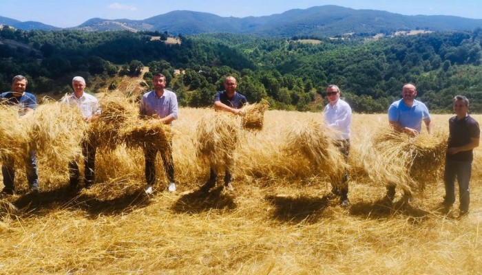 CHP BİGA, ELMALI KÖYÜ'NE ÇIKARMA YAPTI