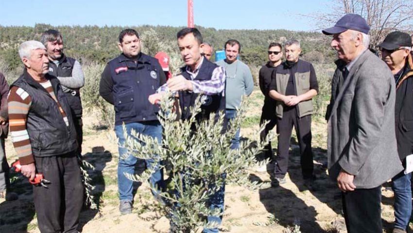  Zeytin Üreticilerine Budama ve Zararlılardan Koruma Eğitimi