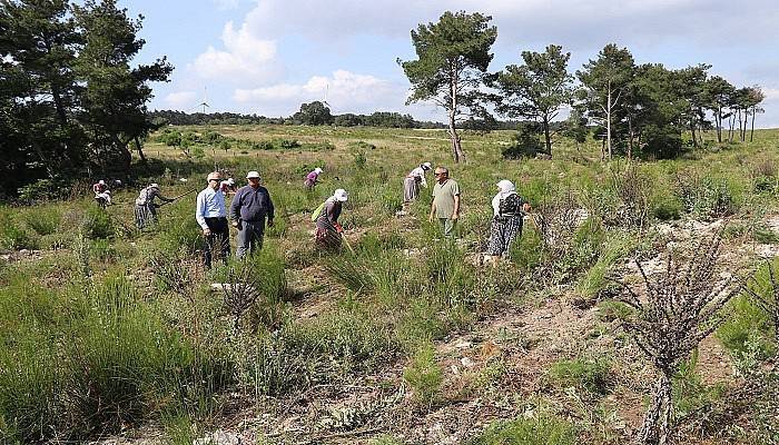 12 Milyon Metreküp Servet Artışı Oldu