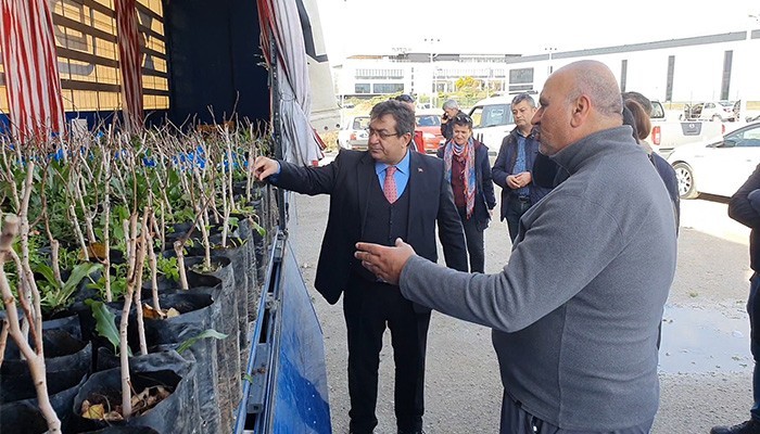 Antepfıstığı fidanları üreticilere dağıtıldı