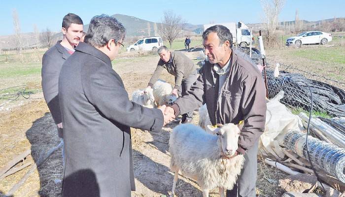 Depremde küçükbaş hayvanları telef olan üreticilere destek