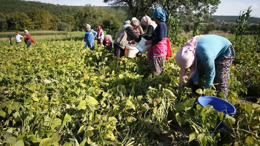 Balya SOGEP İle Üretiyor, Kadın İstihdamı Güçleniyor