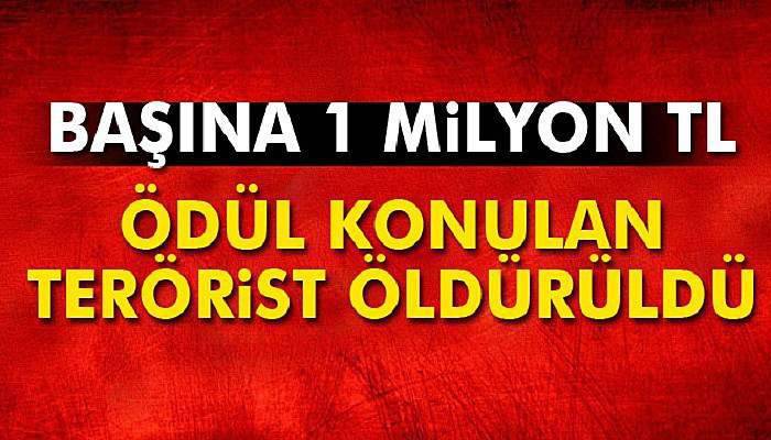 Başına 1 milyon TL ödül konulan terörist öldürüldü