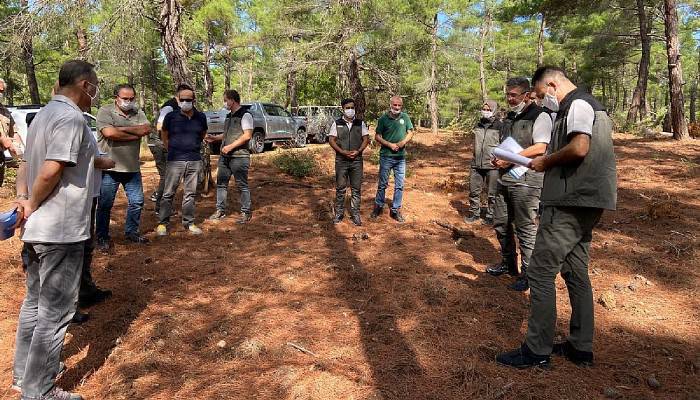 Silvikültür Daire Başkanı Çanakkale’de İncelemelerde Bulundu