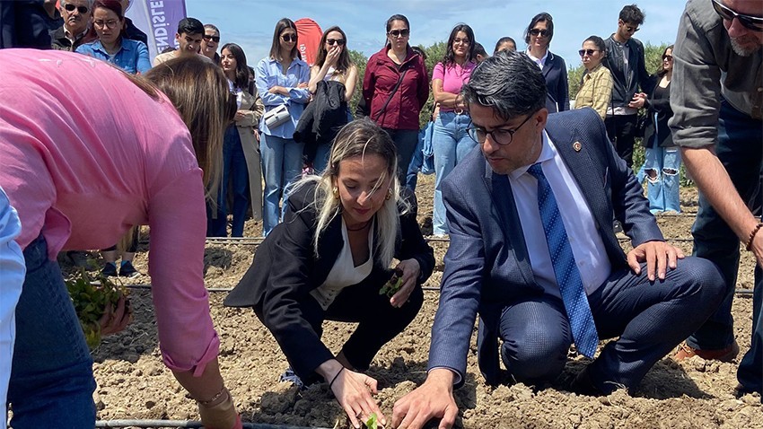 İhracata yönelik süs bitkileri toprakla buluşturuldu (videolu)