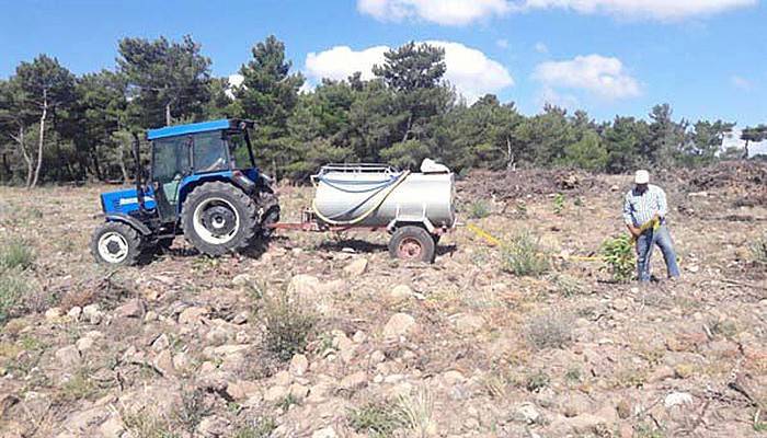 Gelir Getirici Tür Ağaçlandırma Çalışmaları devam ediyor