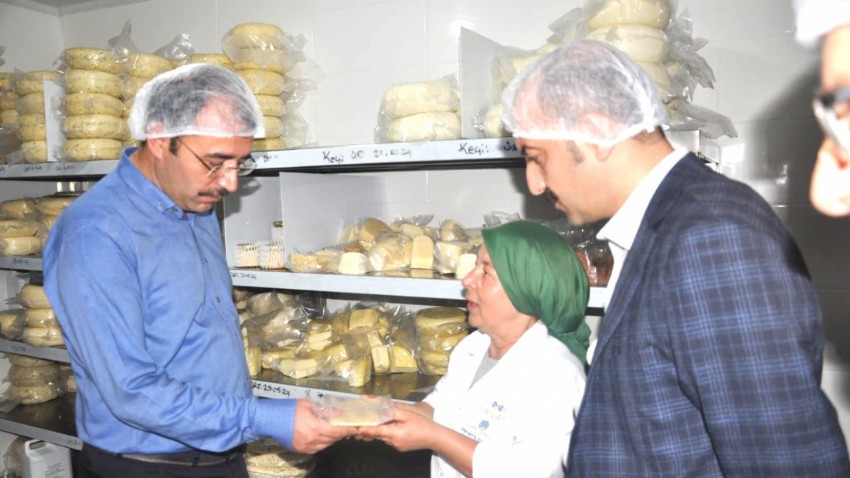 Eceköy Peynirleri Türkiye'nin Dört Bir Yanına Yayılıyor