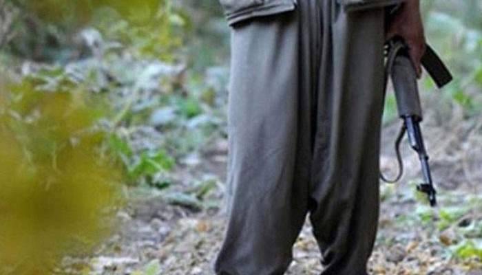 Siirt'te öldürülen kadın teröriste ilişkin açıklama