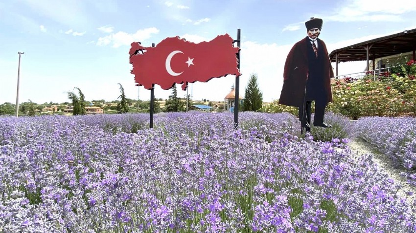 Kavakköy’de Mor Şölen