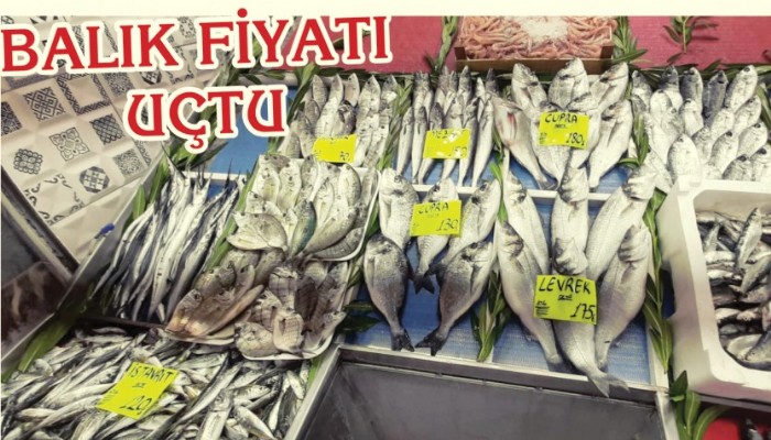 Vatandaşlar balık fiyatlarına inanamadı