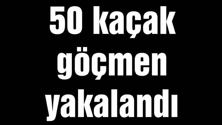 50 kaçak göçmen yakalandı