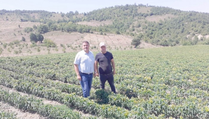 Kendi İmkanları İle Oluşturdukları Gölette Onlarca Dönüm Arazide Ürün Yetiştiriyorlar