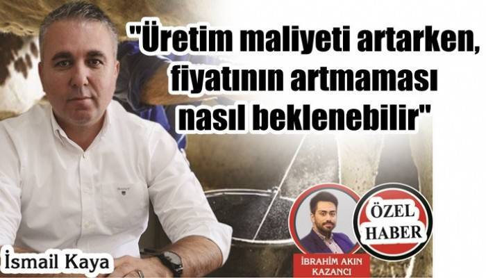 'Üretim maliyeti artarken, fiyatının artmaması nasıl beklenebilir?'