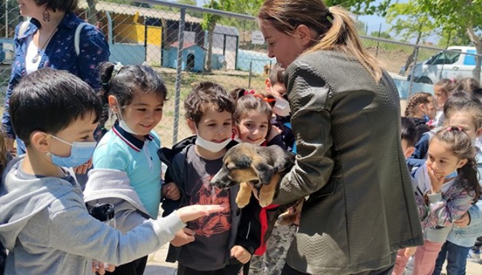 Minik Öğrencilerden Can Dostlara Ziyaret