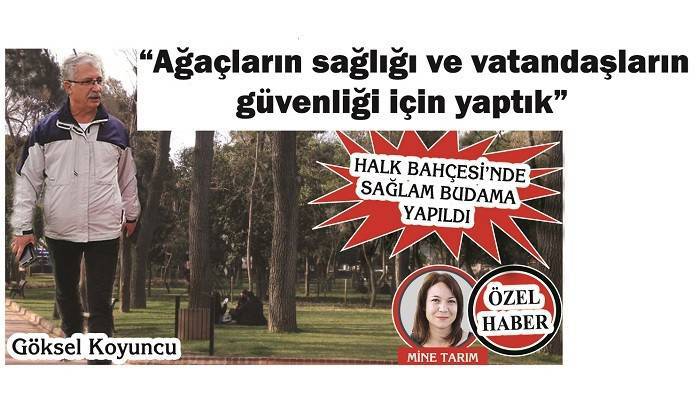 HALK BAHÇESİ’NDE SAĞLAM BUDAMA YAPILDI: 'Ağaçların sağlığı ve vatandaşların güvenliği için yaptık'