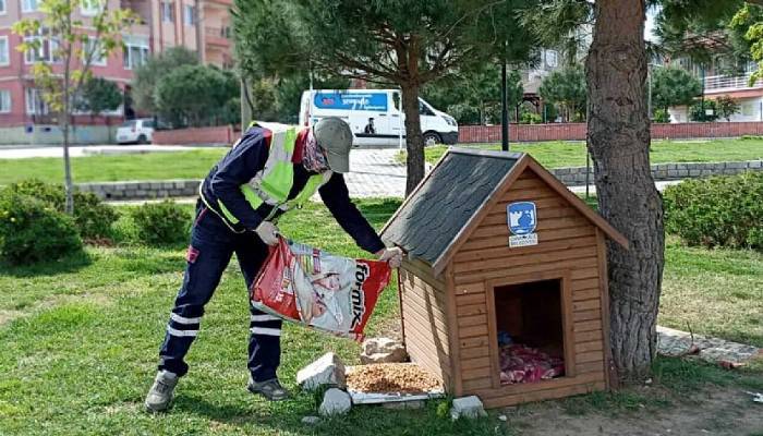 Sokak Hayvanları İçin Mamalar Bırakılıyor