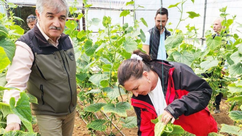 Tarım Seralarında İnceleme