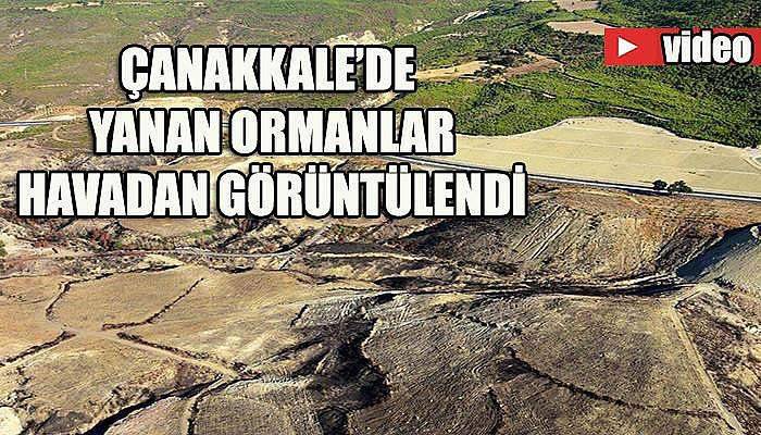 Çanakkale’de 2016'da 94 hektar kül oldu