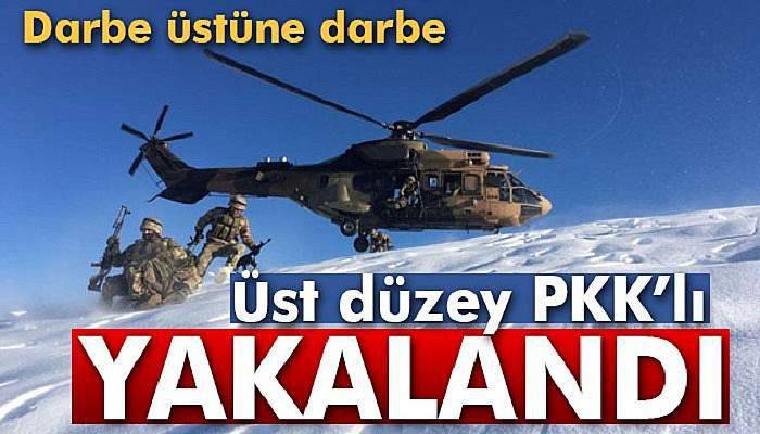 PKK'ya ağır darbe: O terörist yakalandı!