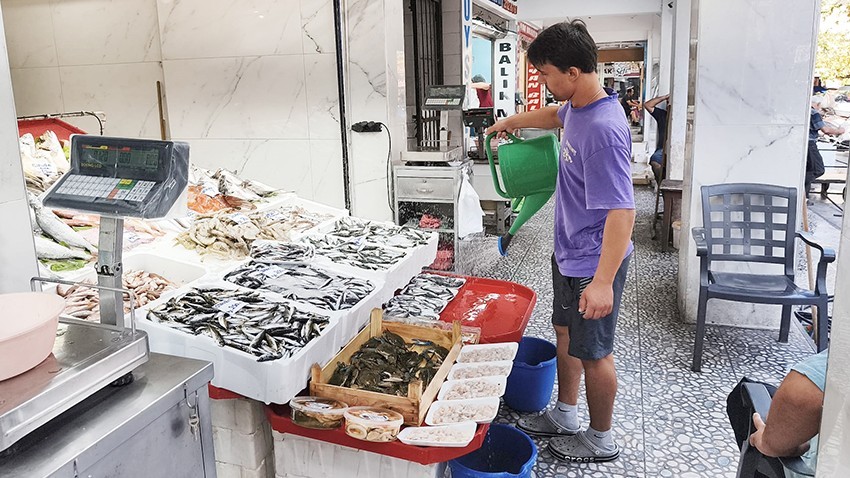 Lüfer 2 bin 400 TL olunca vatandaş sardalyeye yöneldi