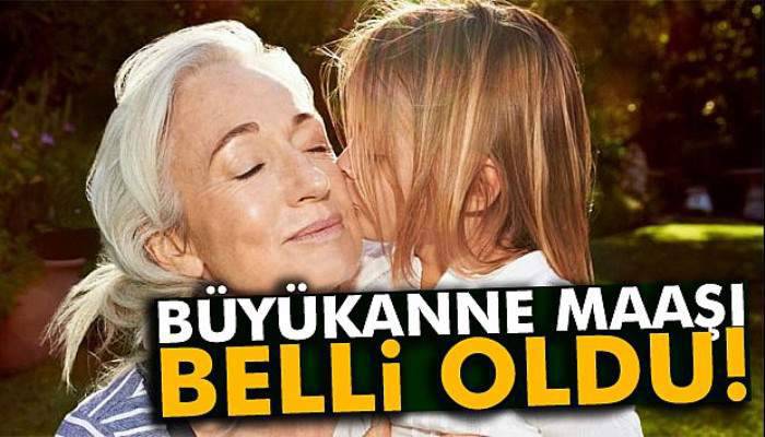 Büyükanneye verilecek maaş belli oldu! 
