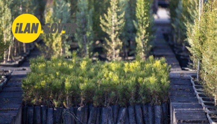 FİDANLIK ÜRETİM MALZEMELERİ ALINACAK