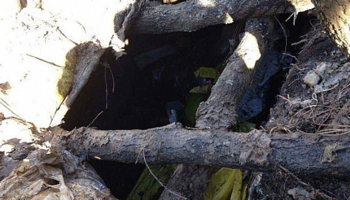  Bitlis'te 6 terörist etkisiz hale getirildi