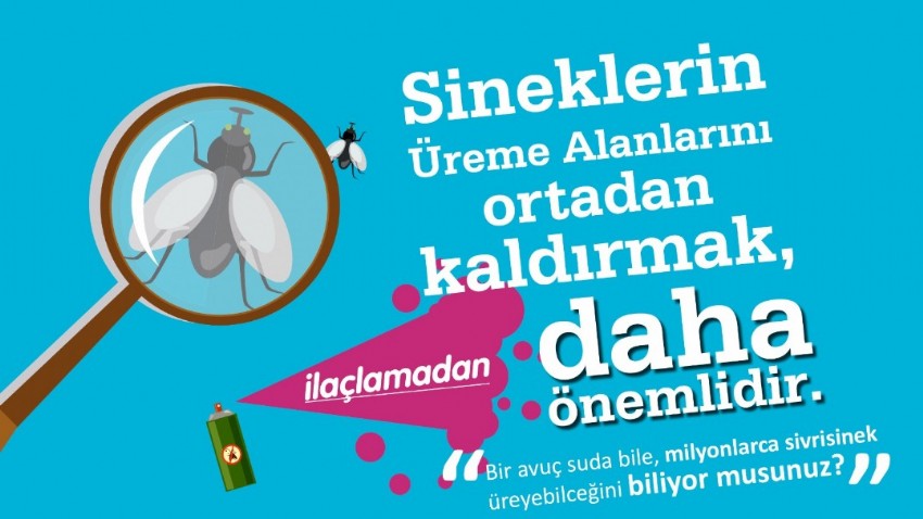 Sivrisinekle Mücadelede Alınması Gereken Önlemler