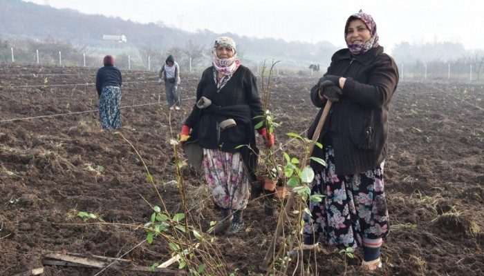 Arslan, Tarlada Çalışan Kadınları Ziyaret Etti