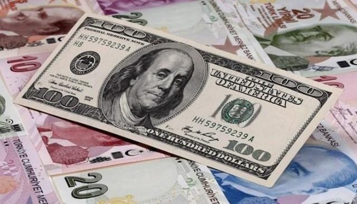 'Dövize yatırım artarken, Türk Lirası’na güven azalıyor'